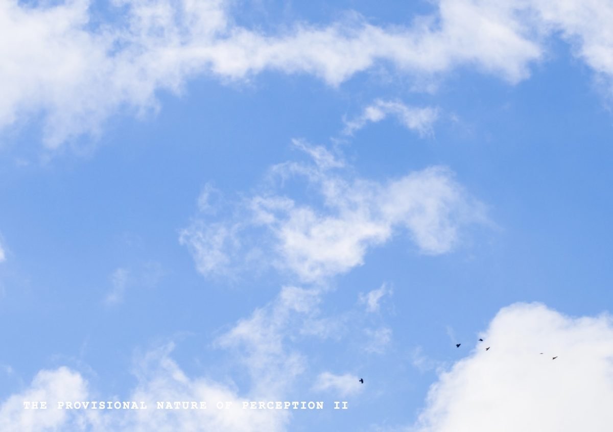 Flyer: The Provisional Nature of Perception II, clouds and birds in a blue sky